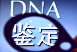 沧州能办理DNA亲子鉴定吗，沧州亲子鉴定流程是什么