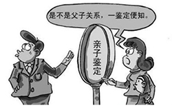 沧州亲子鉴定正规机构在哪有，沧州正规亲子鉴定机构收取费用