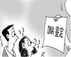 沧州DNA检验鉴定中心如何做鉴定，沧州亲子鉴定一般多久可以拿到结果